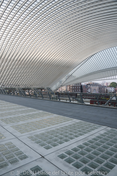 gare de Liège-Guillemins / Liege-Guillemins railway station